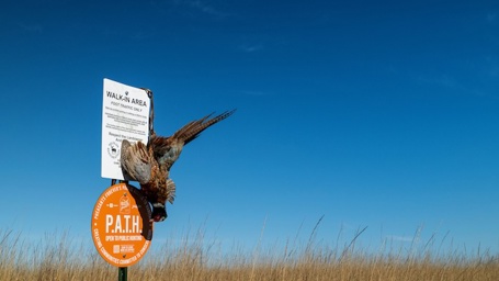 Pheasants-Forever-and-Quail-Forever-Celebrate-Nati.jpeg