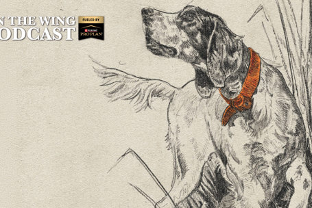PODCAST EP. 385: Broken Bow's Colton Patterson on Illustrating Wendell Berry Story