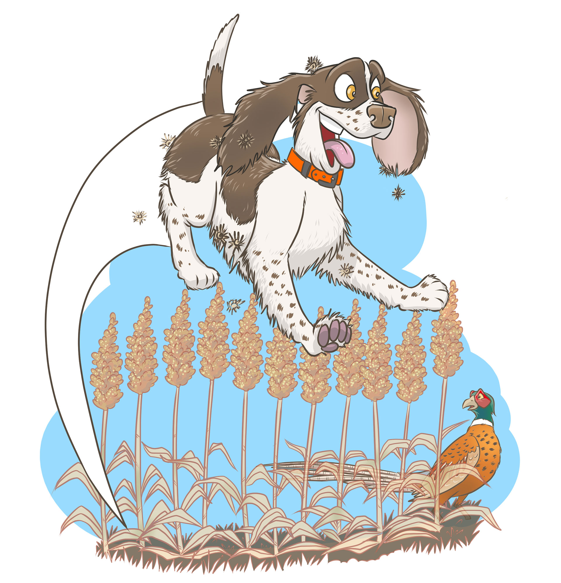 SpringerSpaniel.jpg