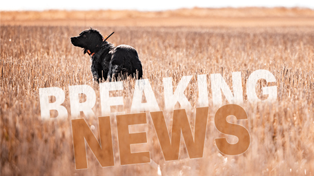 Pheasants-Forever-and-Quail-Forever-Applaud-House.jpg