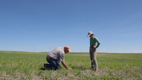 From-Farmland-to-Grassland-Sterlings-Story.jpg