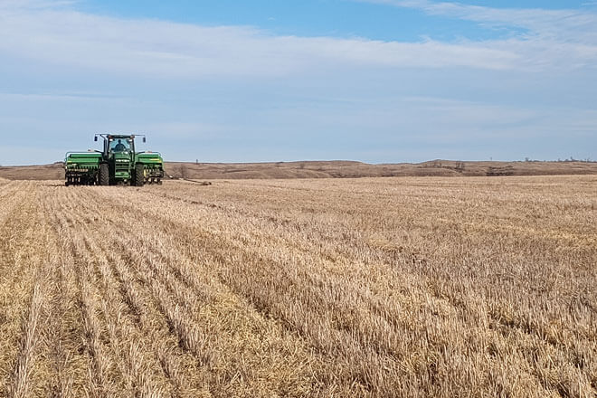 Revitalizing Landscapes with Dormant Seeding