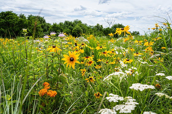 card-managing-habitat-with-purpose