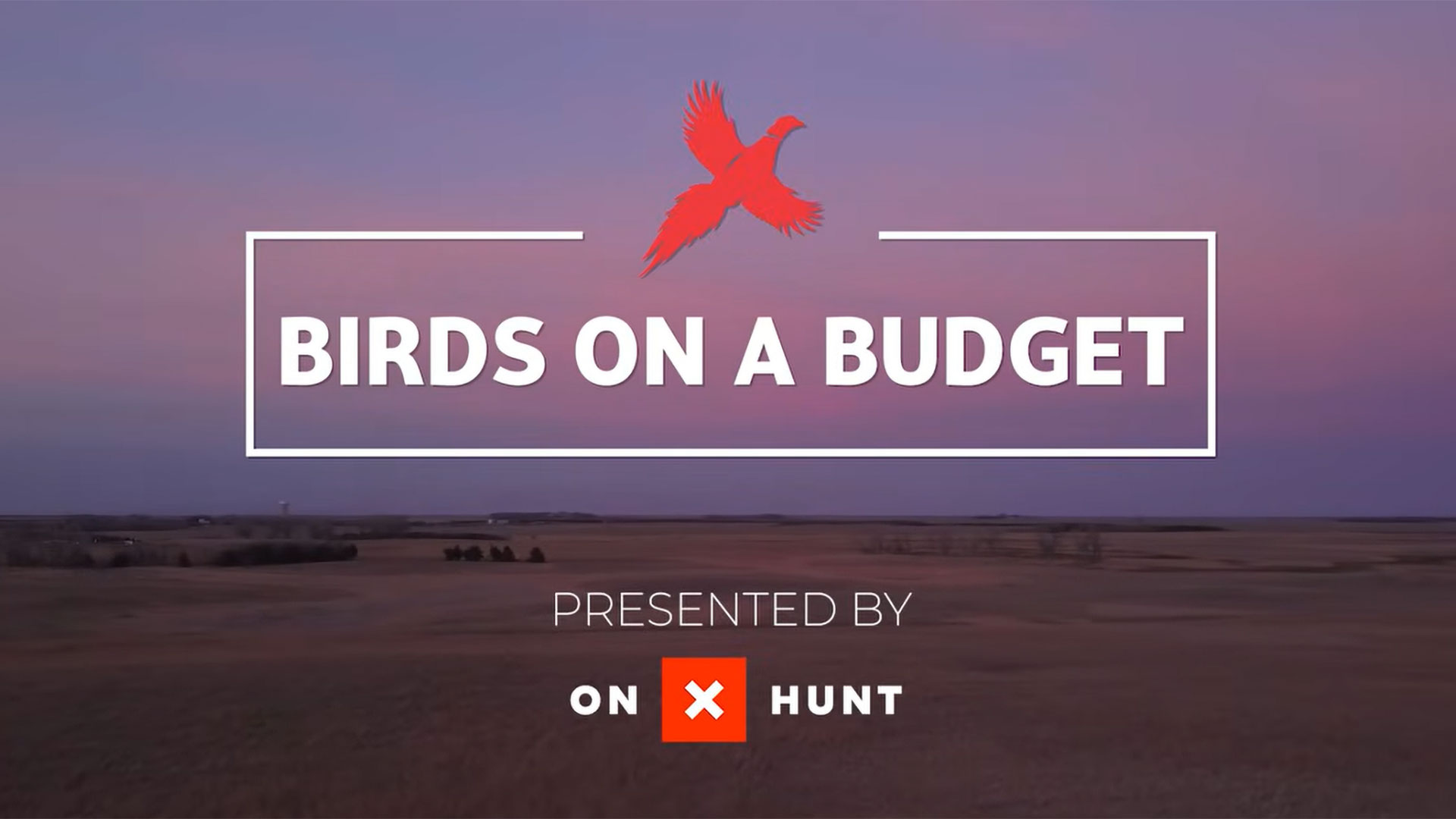 Birds on a Budget: Pinching Pennies While Chasing Roosters in South Dakota