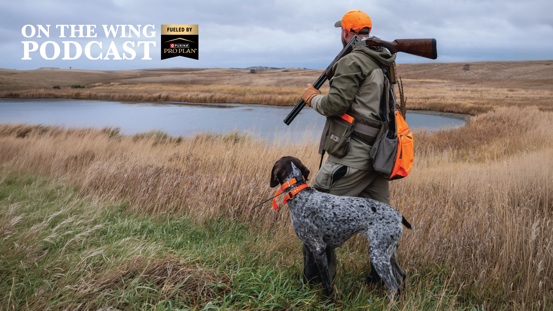 PODCAST EP. 384: PF's 2026 Pheasant Hunting Forecast — Best States to Hunt this Season