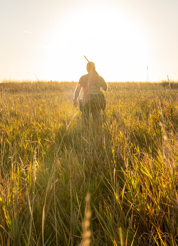 Hunter walking into field during sunset