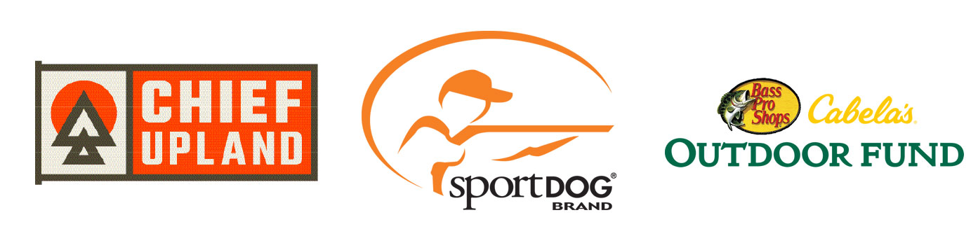 sponsors.jpg