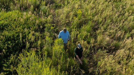 Farm Bill 2.0: A Closer Look at the Senate Discussion Draft