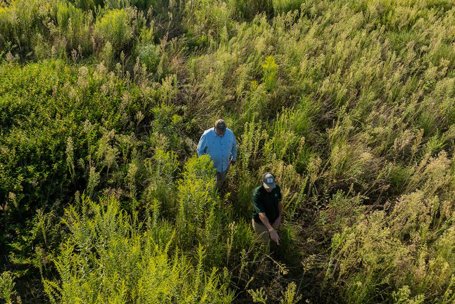 article-farm-bill-2.0.jpg
