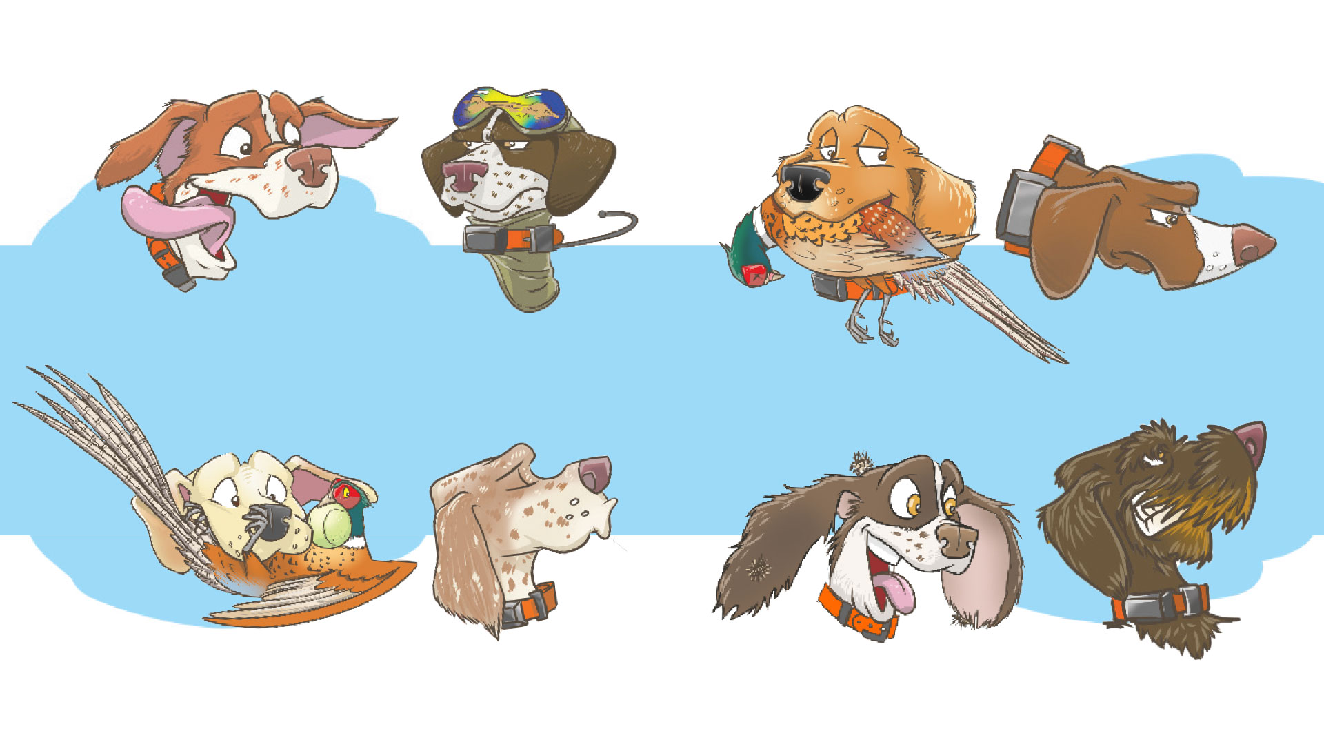 Meet The Pheasant Dog