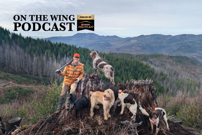 PODCAST EP. 357: Chasing Mountain and Valley Quail Across the West