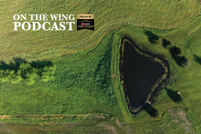 PODCAST EP. 361: Habitat University, Creating Upland Habitat from the Ground Up