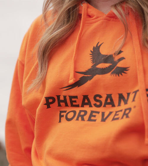 hp-pf-merch-carousel.jpg