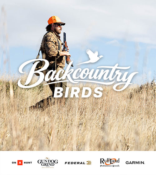 hp-carousel-backcountry-birds-scroll